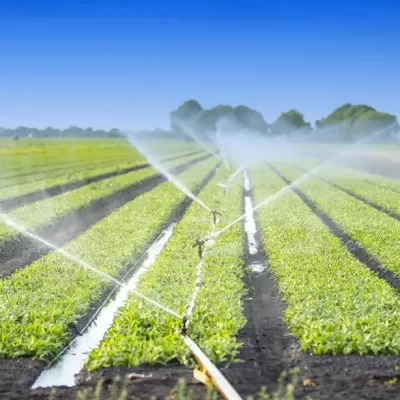 Watering Crops  